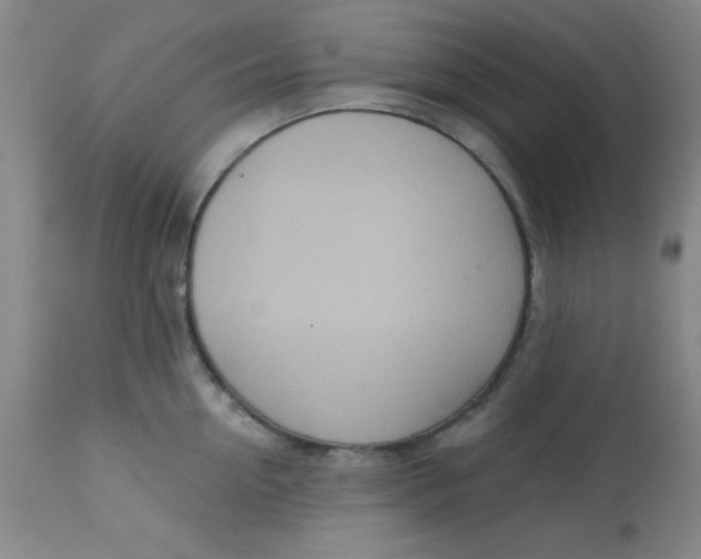 X0000113630954200910091553