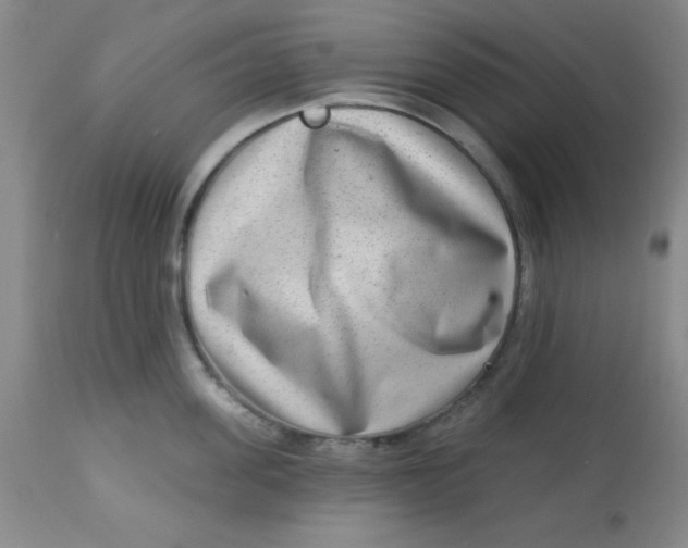 X0000113630955200910091553