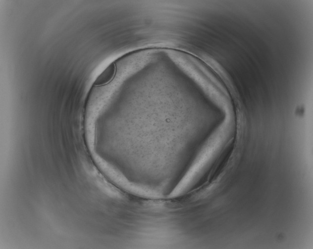 X0000113630956200910091553