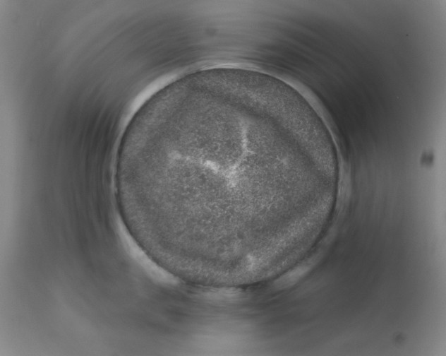 X0000113630957200910091553