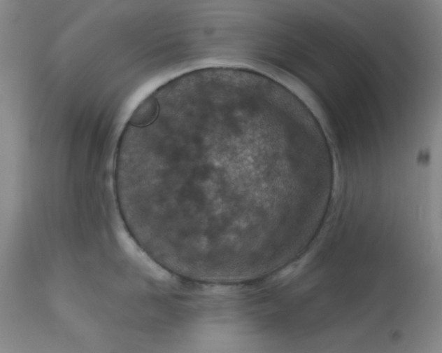 X0000113630958200910091553