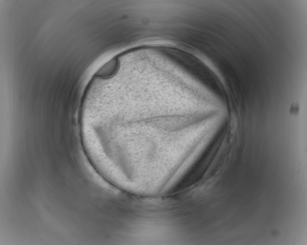 X0000113630959200910091553