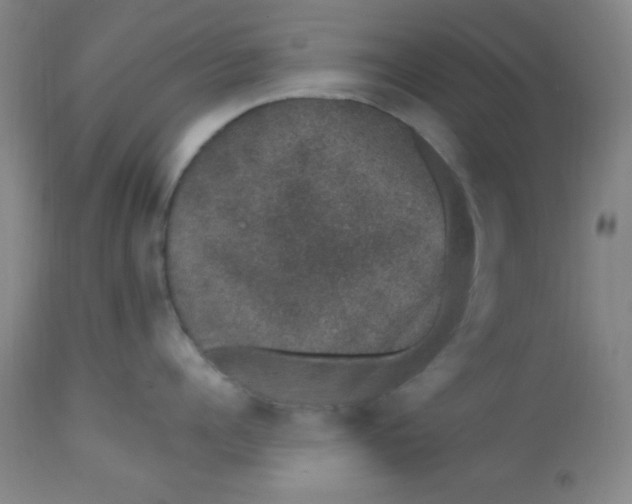 X0000113630960200910091553