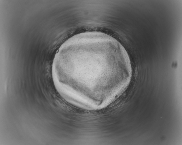X0000113630964200910091552