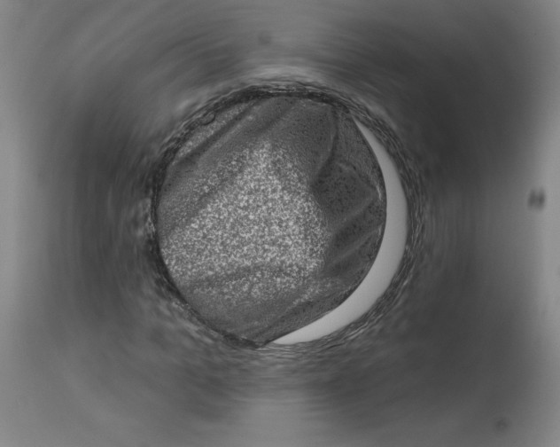 X0000113630965200910091552