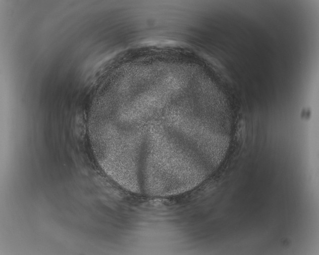 X0000113630966200910091552