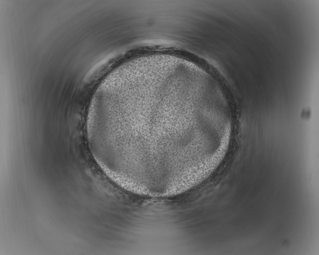 X0000113630967200910091552