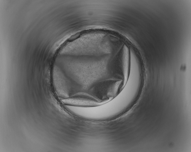 X0000113630969200910091552