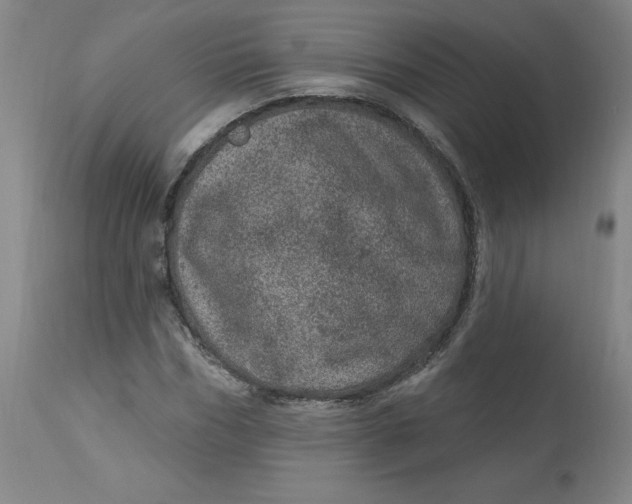 X0000113630970200910091552