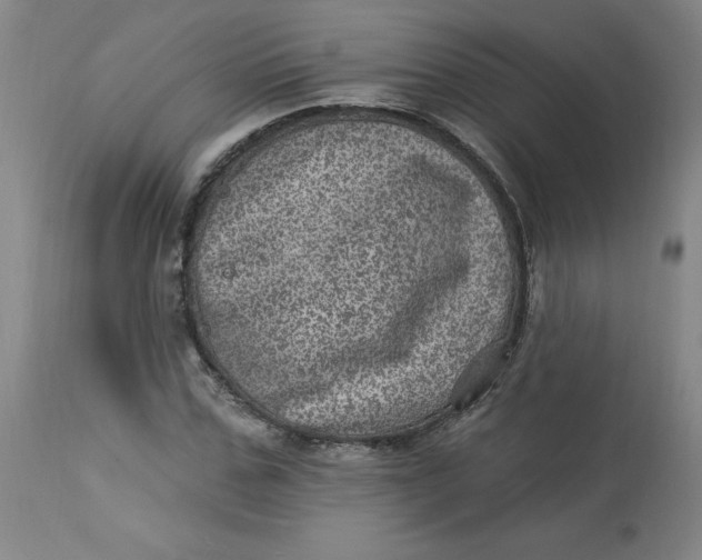 X0000113630971200910091552