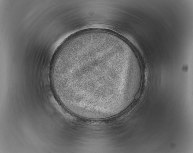 X0000113630972200910091552