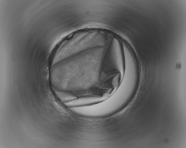 X0000113630973200910091552