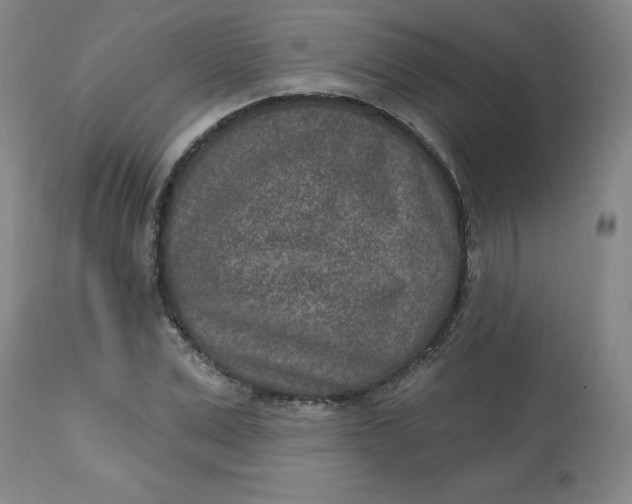 X0000113630975200910091552