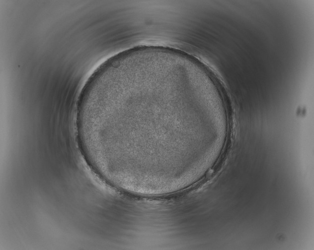 X0000113630976200910091552