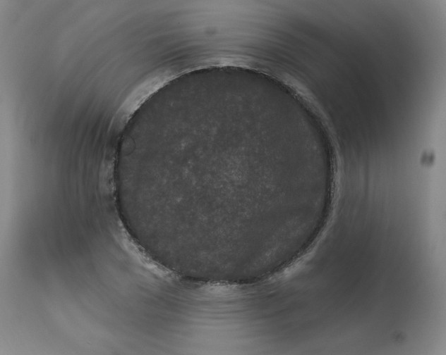 X0000113630977200910091552