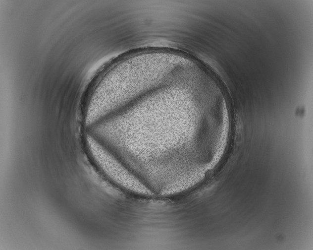 X0000113630979200910091552