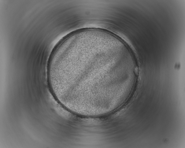 X0000113630980200910091552