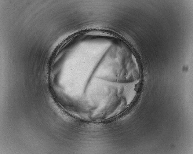 X0000113630981200910091552