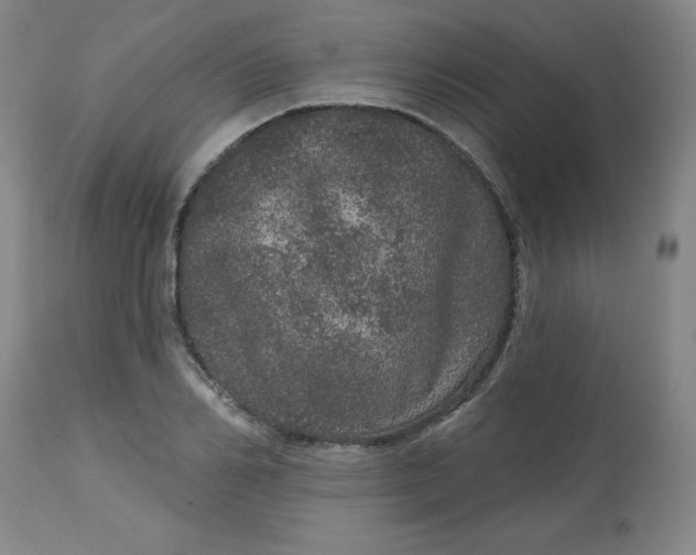 X0000113630982200910091552