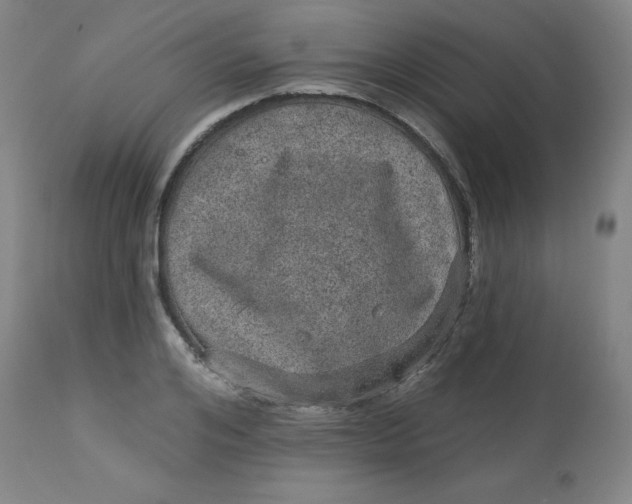X0000113630984200910091552