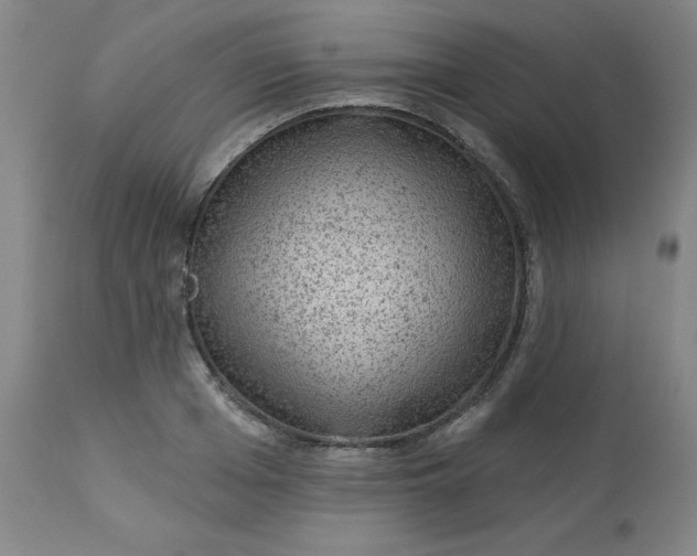 X0000113630985200910091552