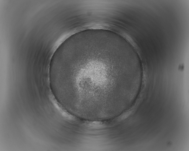 X0000113630986200910091552