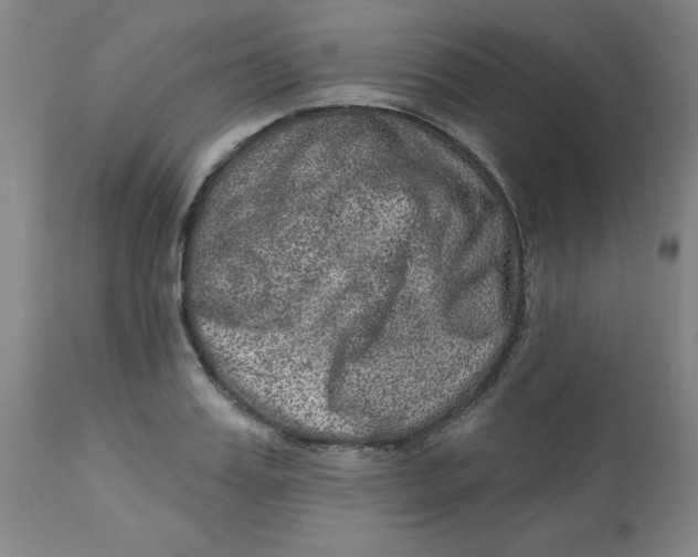 X0000113630987200910091552