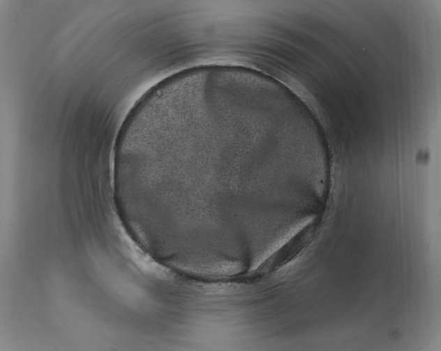 X0000113630988200910091552