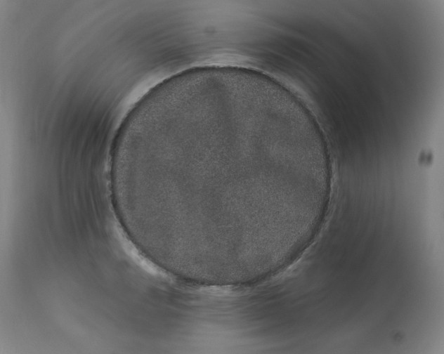 X0000113630990200910091552