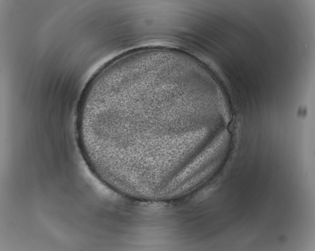 X0000113630991200910091552