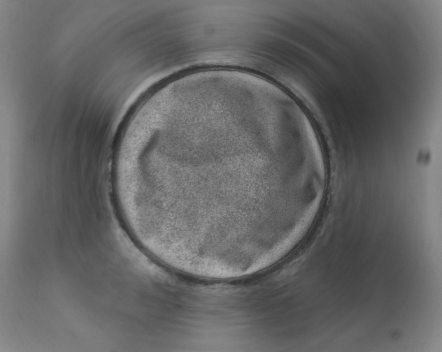 X0000113630992200910091552