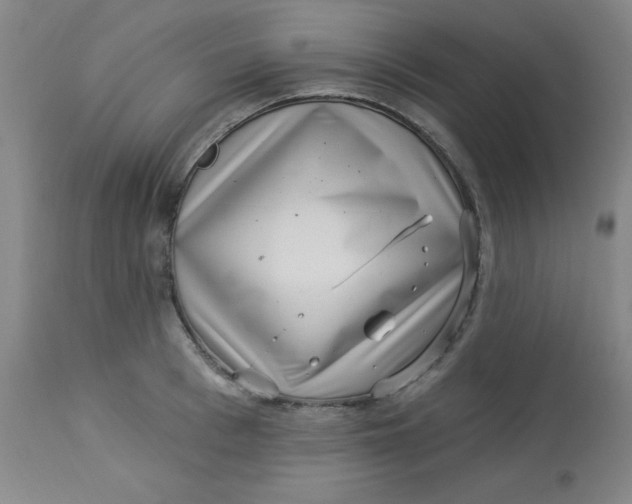 X0000113630993200910091552