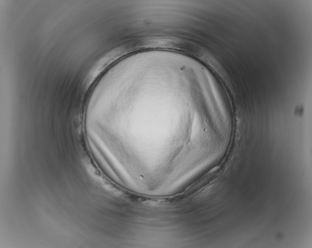 X0000113630994200910091552
