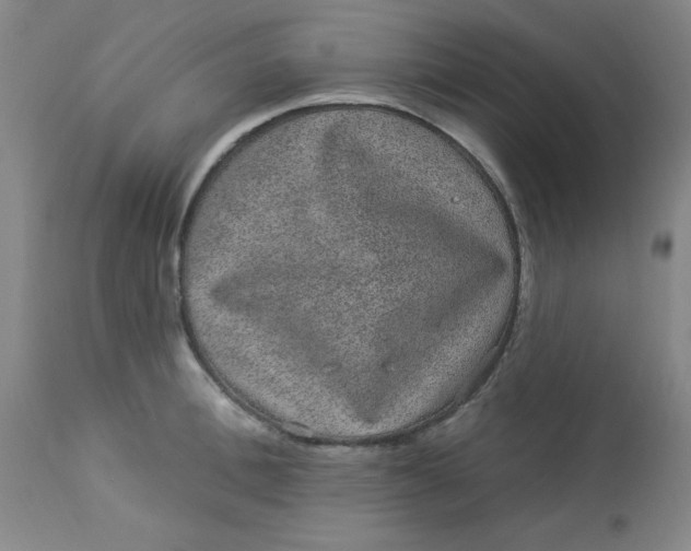 X0000113630996200910091551