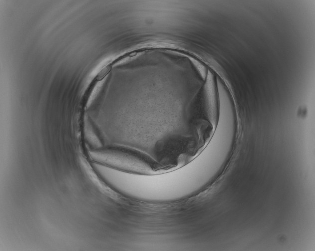 X0000113630997200910091551