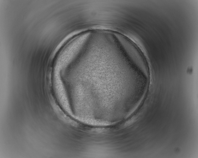 X0000113631000200910091551