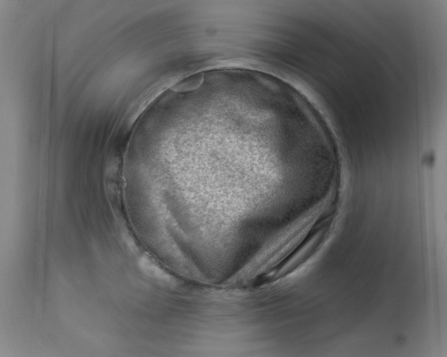 X0000113631001200910091551