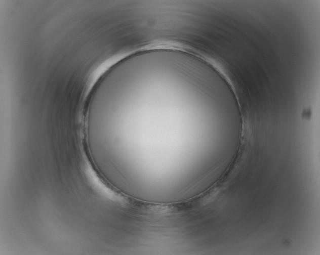 X0000113631003200910091551