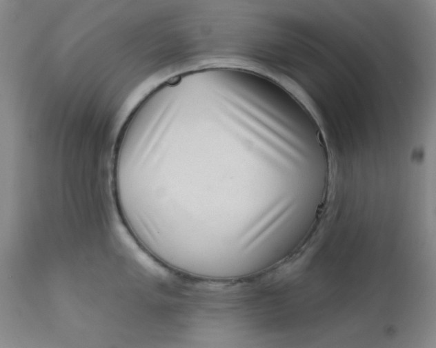 X0000113631005200910091551