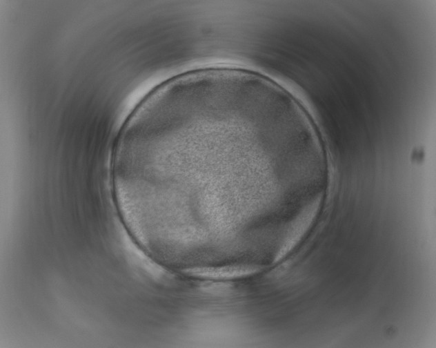 X0000113631006200910091551