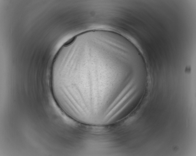 X0000113631007200910091551