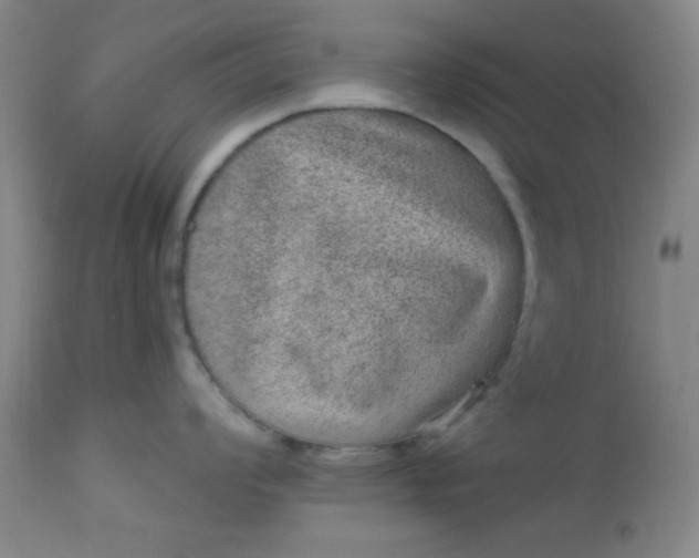 X0000113631008200910091551