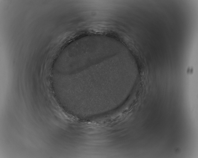 X0000113631009200910091550