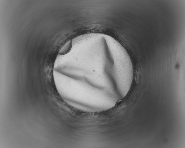 X0000113631010200910091550