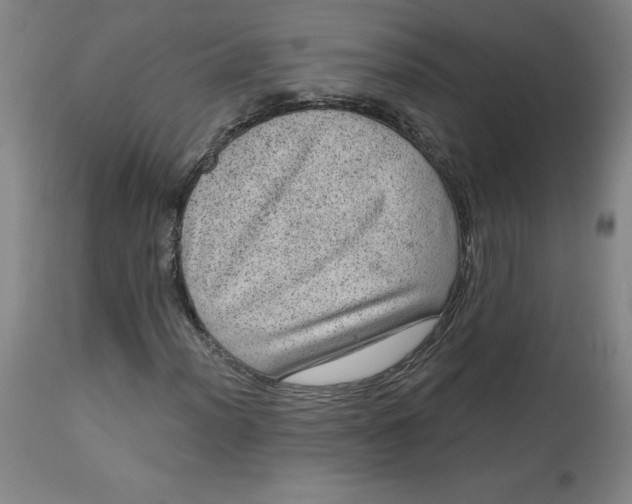 X0000113631012200910091550