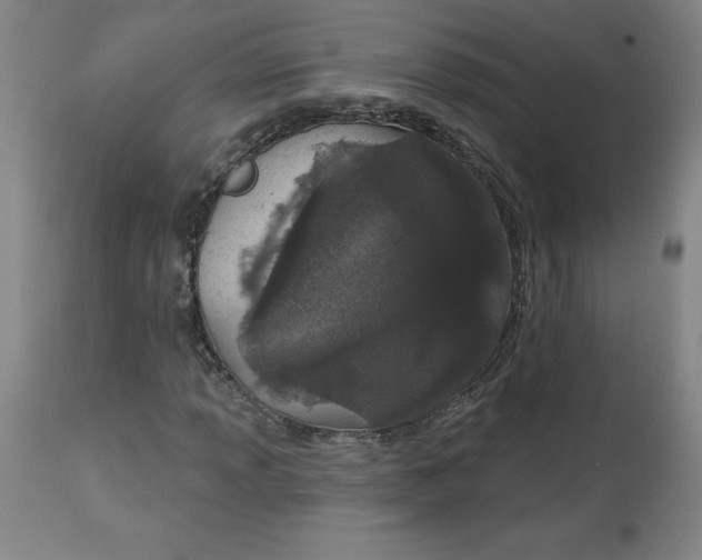 X0000113631013200910091551