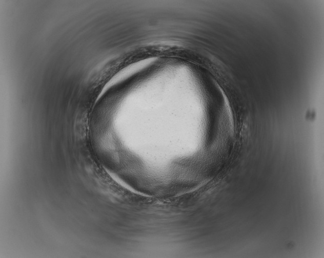 X0000113631014200910091551