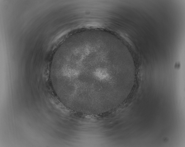 X0000113631015200910091551
