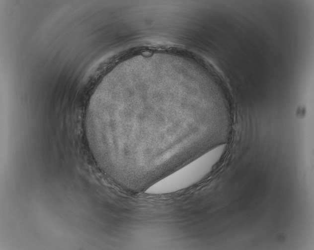 X0000113631016200910091551