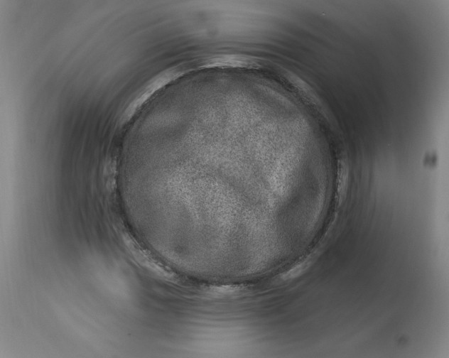 X0000113631017200910091551